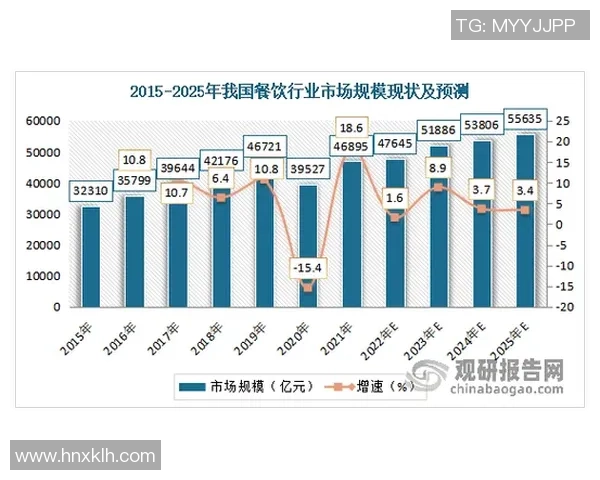 全面解析全球足球员现状与发展趋势的深度报告